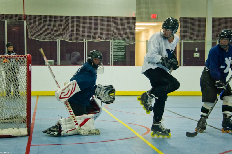 Random Gallery Picture