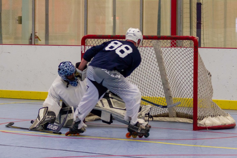 Random Gallery Picture