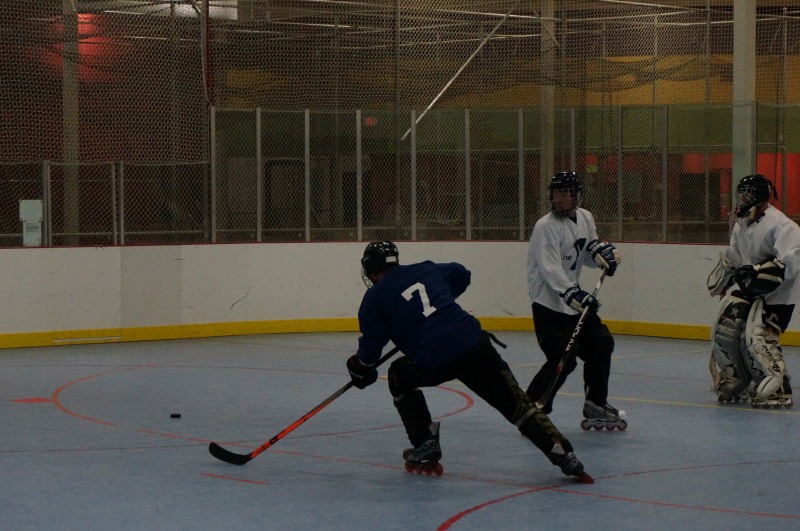 Random Gallery Picture