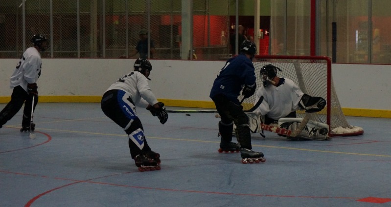 Random Gallery Picture