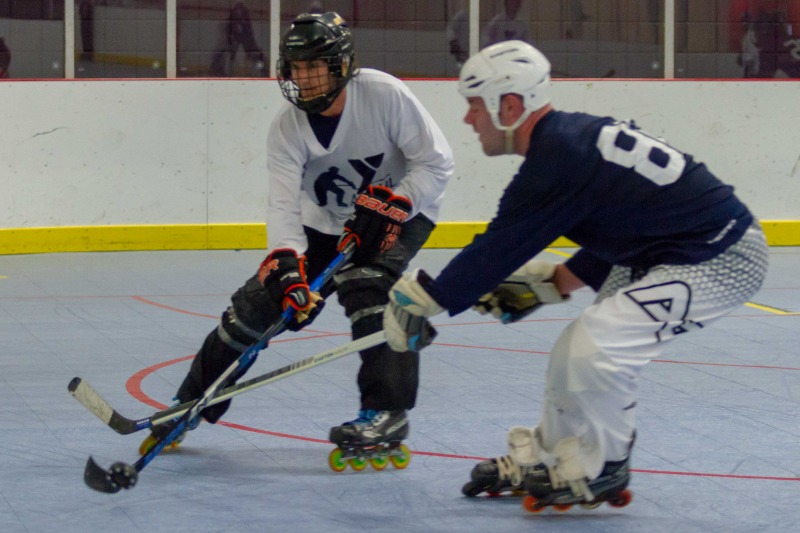 Random Gallery Picture