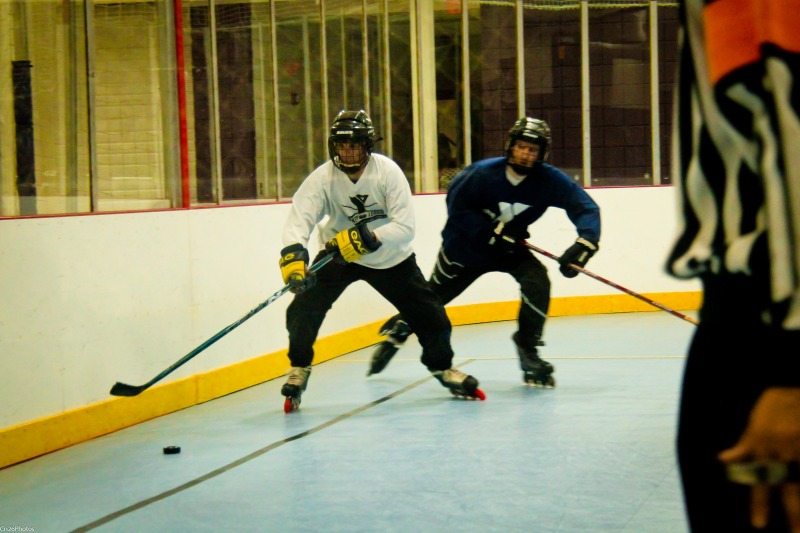 Random Gallery Picture