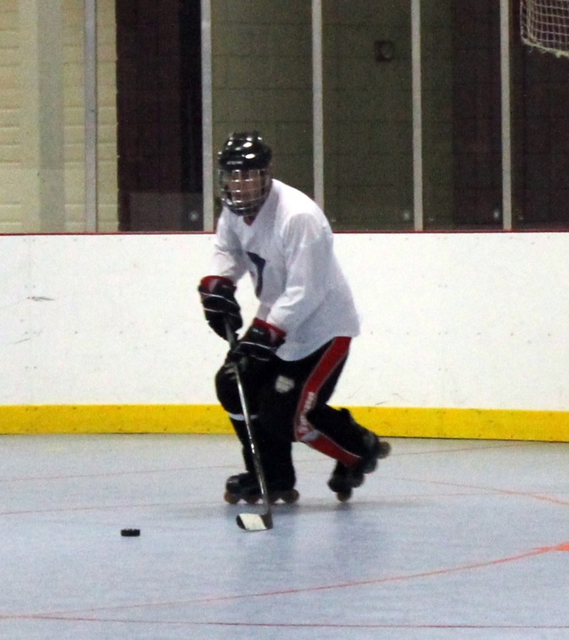 Random Gallery Picture