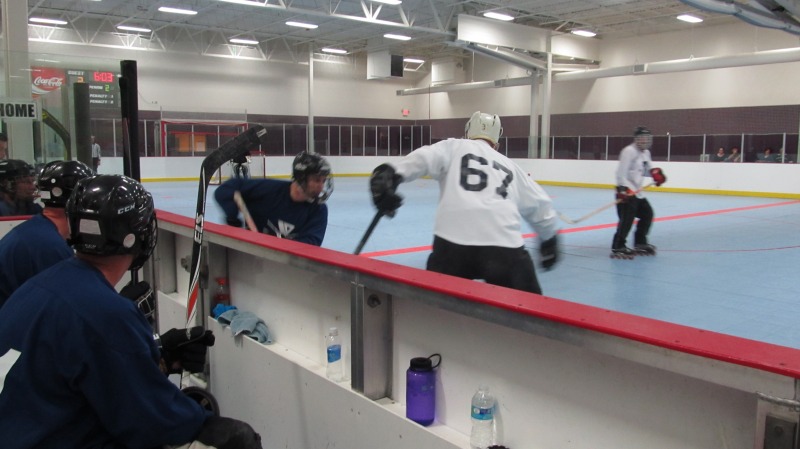 Random Gallery Picture