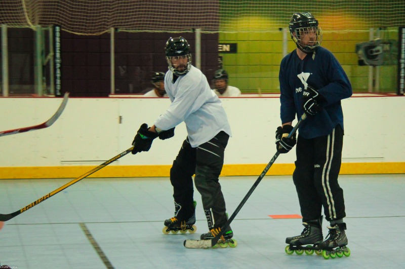 Random Gallery Picture