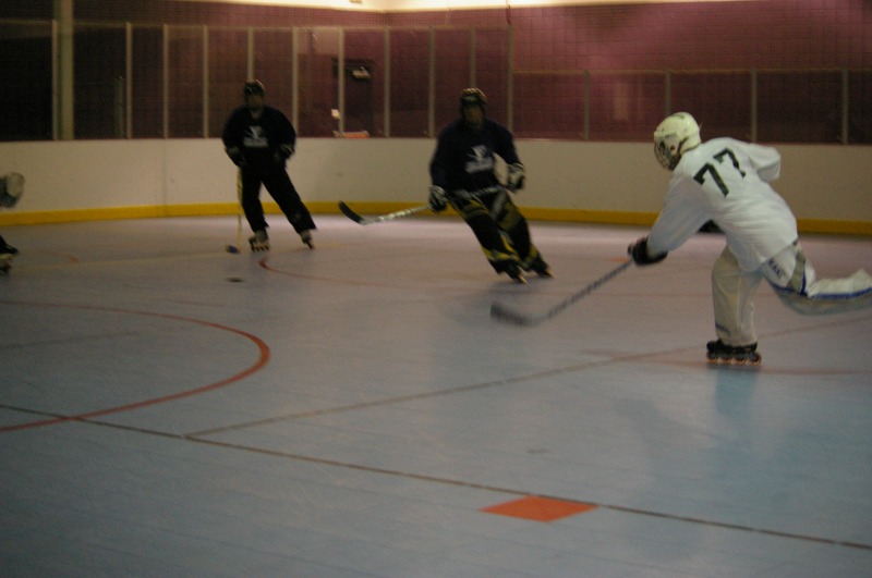 Random Gallery Picture