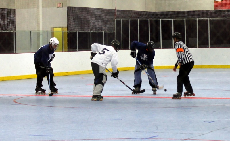 Random Gallery Picture