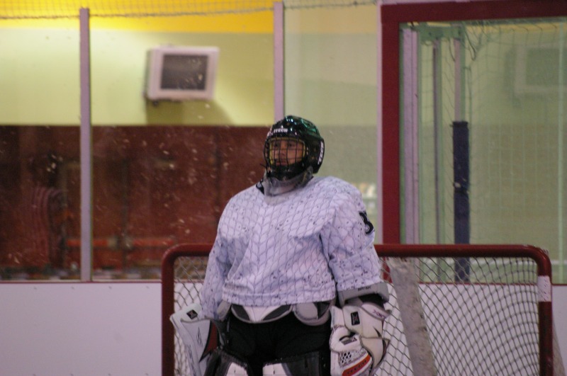 Random Gallery Picture